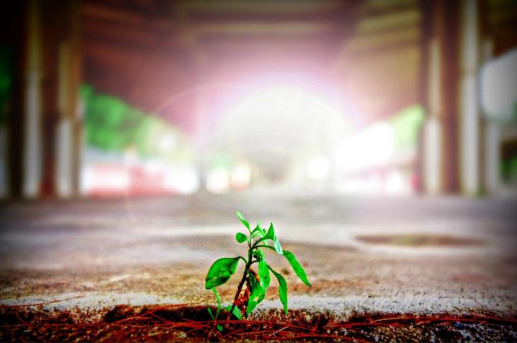 Thanks to Danist Soh