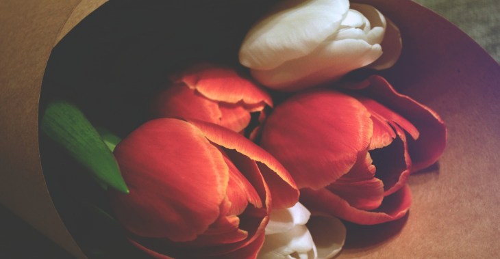 Photo Thanks to Daria Sukhorukova