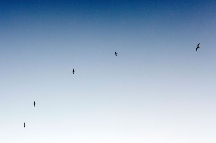 Photo Thanks to Andrej Chudy